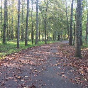 Meet your Posher, Cristine